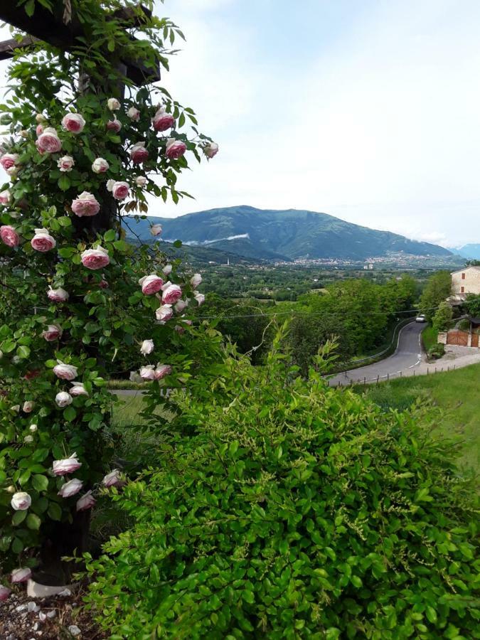 Locanda Bellavista Cavaso Del Tomba Zewnętrze zdjęcie